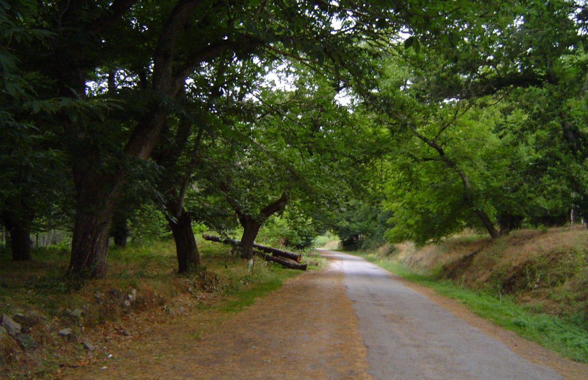 Ponte en camino.Deja atrás tus inquietudes legales. Conantonio j. almarza garcía - abogado socio de lawyou - antoniojalmarza.com