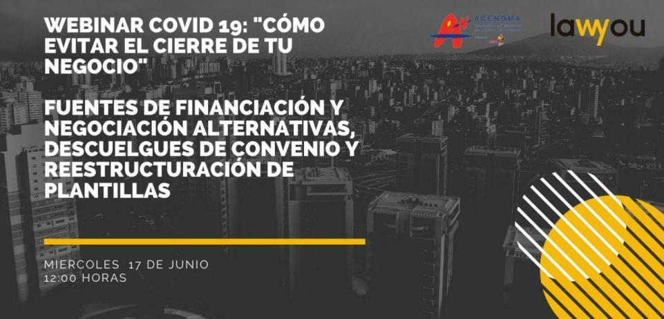 Webinar 17 de Junio 12h
